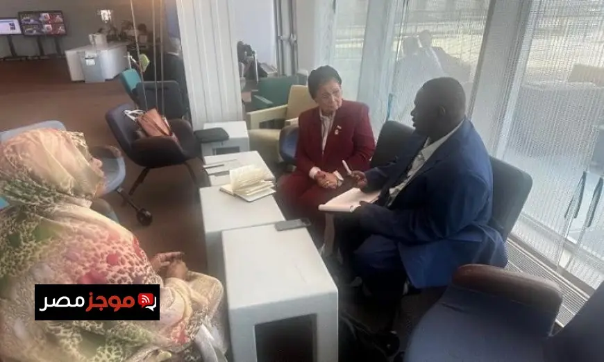 نائب وزير الصحة المصرية تسلط الضوء على تجربة مصر في قضايا السكان والصحة الإنجابية في نيويورك