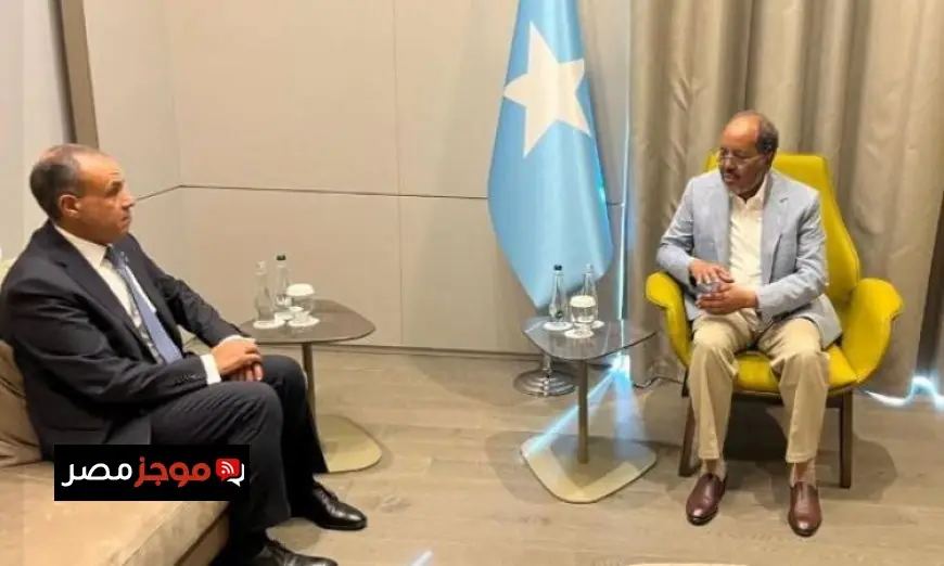 وزير الخارجية المصري يبحث تعزيز التعاون مع الرئيس الصومالي ويؤكد دعم مصر المستمر للصومال
