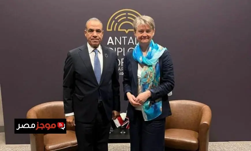 وزير الخارجية يشيد بتطور العلاقات المصرية البريطانية في كافة المجالات