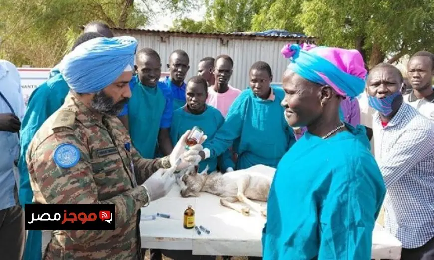 مجلس الأمن يحث على إعادة إطلاق الحوار السياسي في جنوب السودان