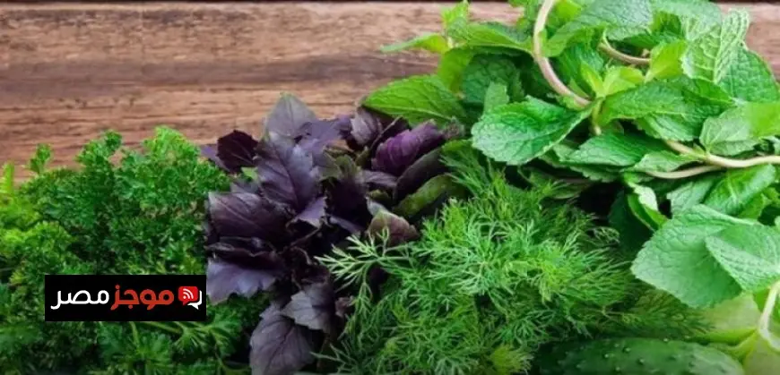 استكشف بدائل طبيعية مذهلة لتنظيم ضغط الدم وتعرف على فوائد الخضروات الورقية