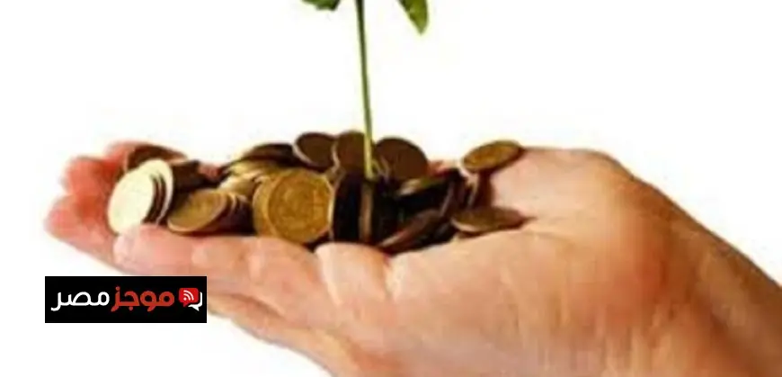 الرقابة المالية تكشف عن تمويل مشروع صغير ومتوسط يصل إلى مليار جنيه يستفيد منه 520 شخصاً