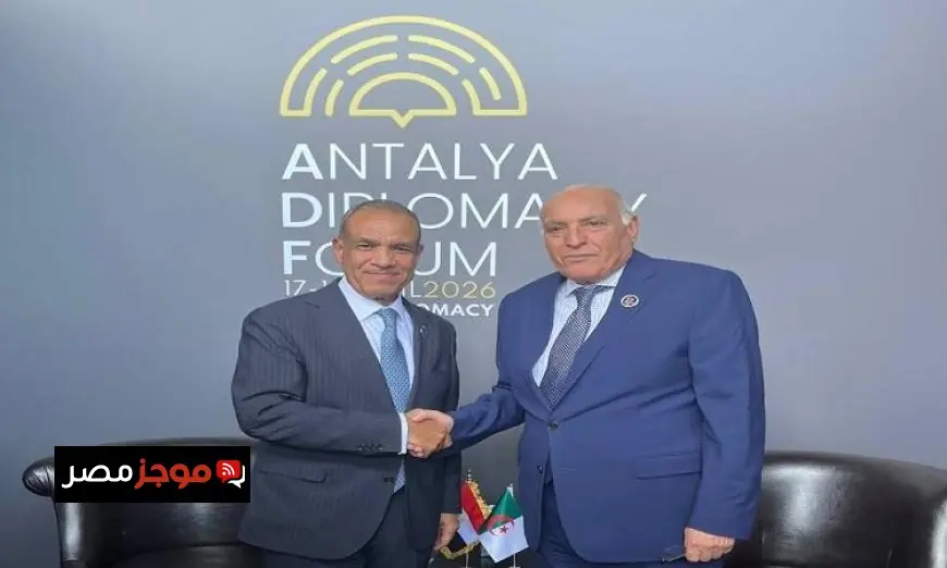 وزير الخارجية يؤكد على قوة العلاقات الأخوية التاريخية بين مصر والجزائر