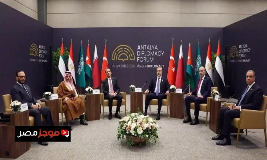 وزير الخارجية يبرز التزام مصر الثابت بالقضية الفلسطينية