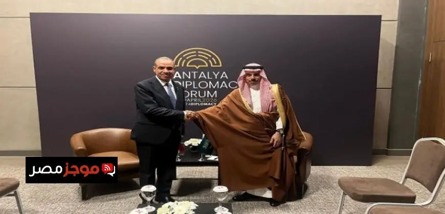 وزير الخارجية المصري يؤكد دعم مصر الكامل للسعودية ويرفض الاعتداءات على أراضيها