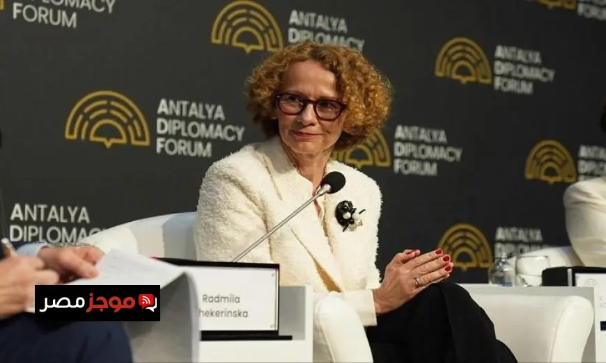 الناتو يعلن عن تعزيز الدفاعات العسكرية والتزامات جديدة قبيل قمة أنقرة