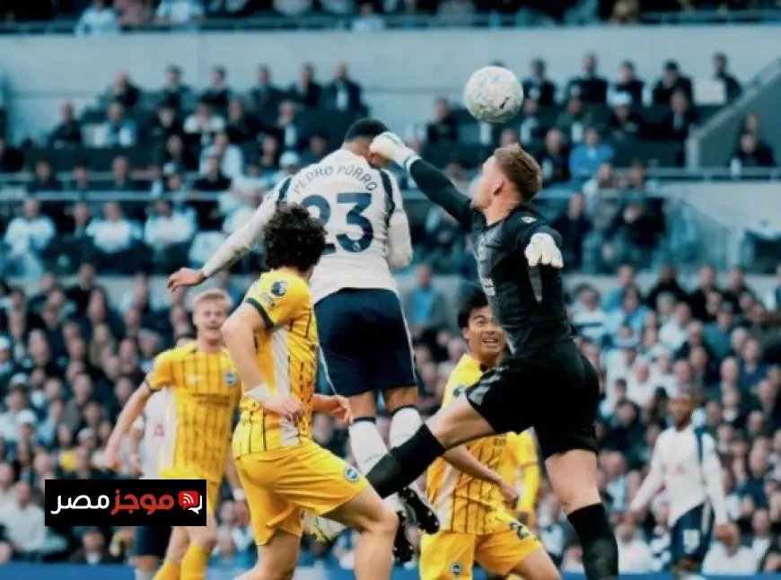 توتنهام يغرق في فخ التعادل مع برايتون ويقترب من مناطق الهبوط في الدوري الإنجليزي