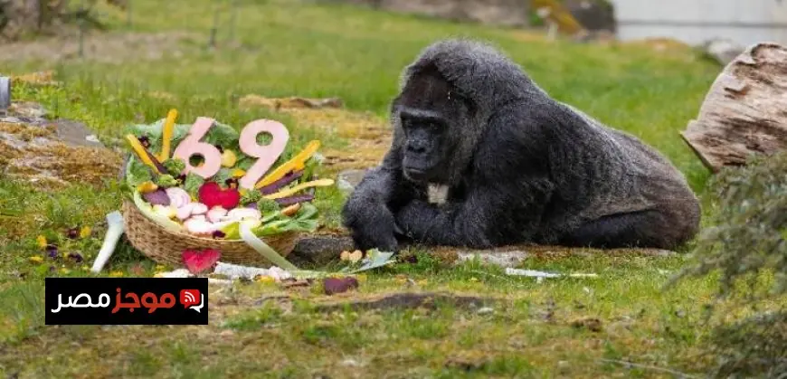 اجتماع مكاتب حفظ وبناء السلام التابعة للأمم المتحدة تحتضنه النيابة العامة