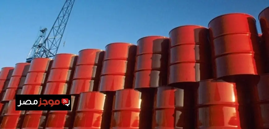 وزير الاستثمار يكشف عن فرص جديدة لتصدير العقار المصري وجذب المطورين الدوليين