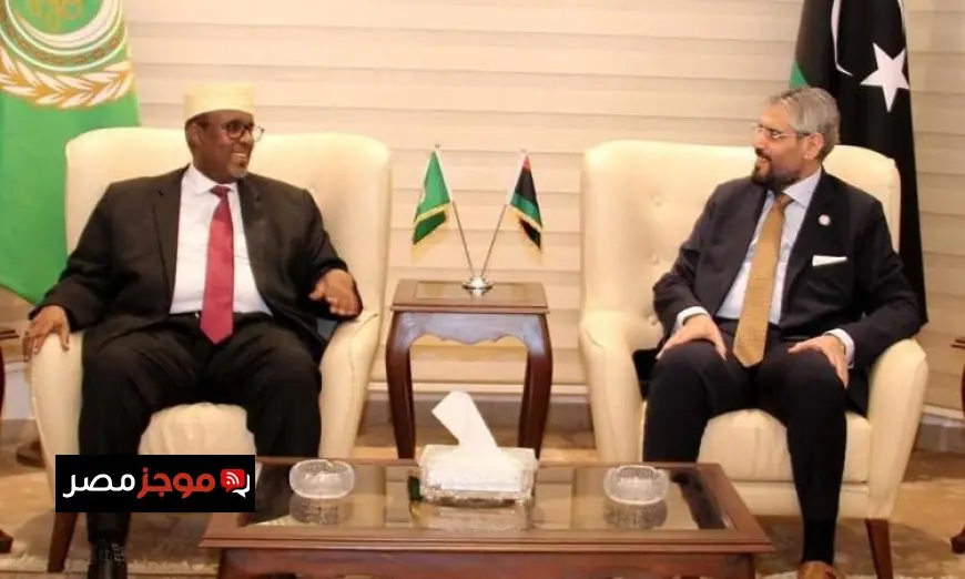 سفير الصومال في القاهرة يؤكد أهمية التنسيق والتشاور المستمر مع ليبيا في جميع المحافل الدولية