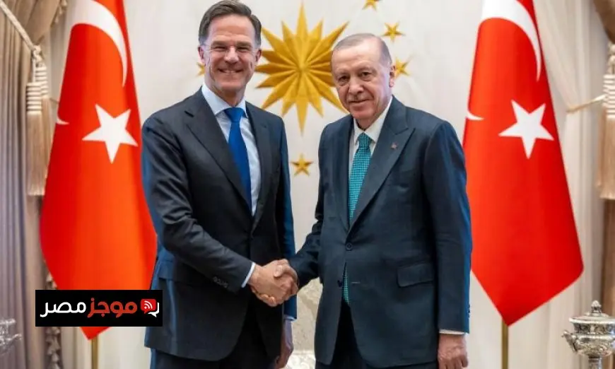 روته وأردوغان يستعرضان جاهزية قمة الناتو ويثنيان على الدور الدفاعي لتركيا