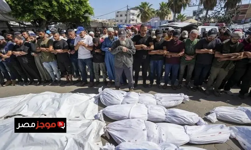 استشهاد 8 فلسطينيين في قصف مكثف للاحتلال في شمال وجنوب قطاع غزة