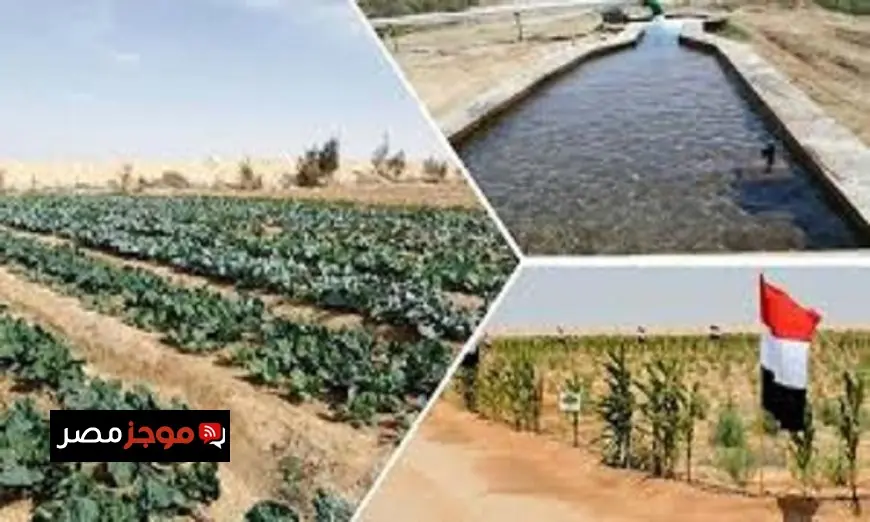 شيخ مشايخ سيناء يؤكد أن خطة تنمية سيناء تعبر عن إرادة سياسية قوية لتحقيق التنمية المستدامة