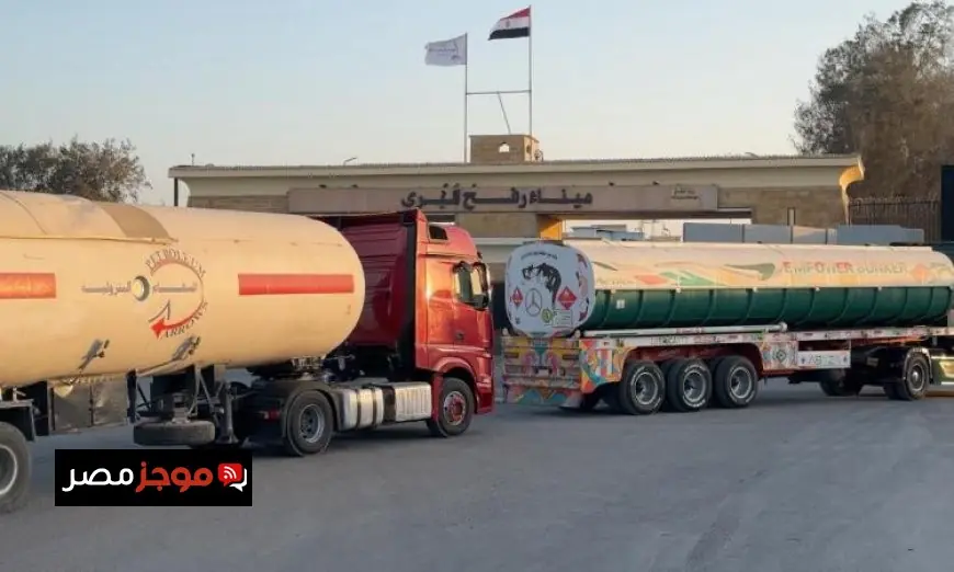 الهلال الأحمر المصري يوزع 105 آلاف سلة غذائية لإغاثة قطاع غزة