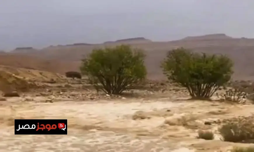 وزير الري يراقب تطورات السيول في شمال سيناء اليوم