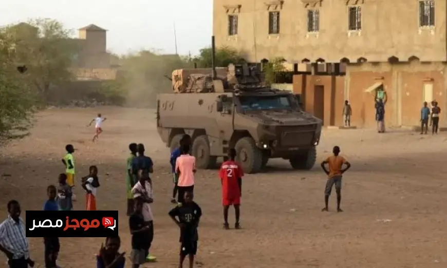 دول الساحل الأفريقي تعبر عن دعمها الكامل لمالي في مواجهة التحديات