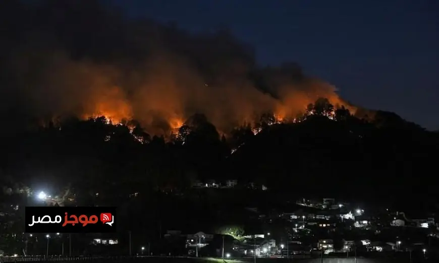 اليابان تحقق تقدمًا كبيرًا في السيطرة على حرائق الغابات وتخفيف الأضرار