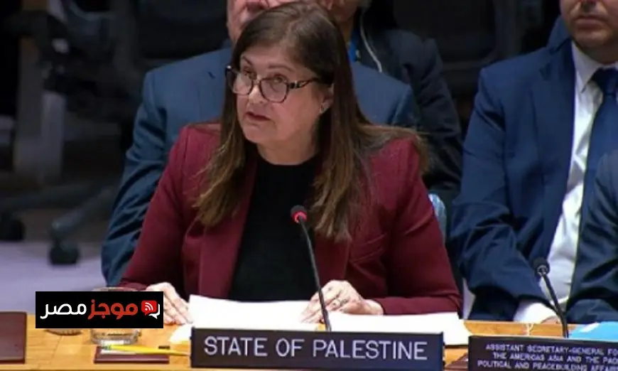 فلسطين تطالب بسرعة اتخاذ إجراءات عاجلة لحل الأزمة الإنسانية في غزة وضمان حماية المدنيين