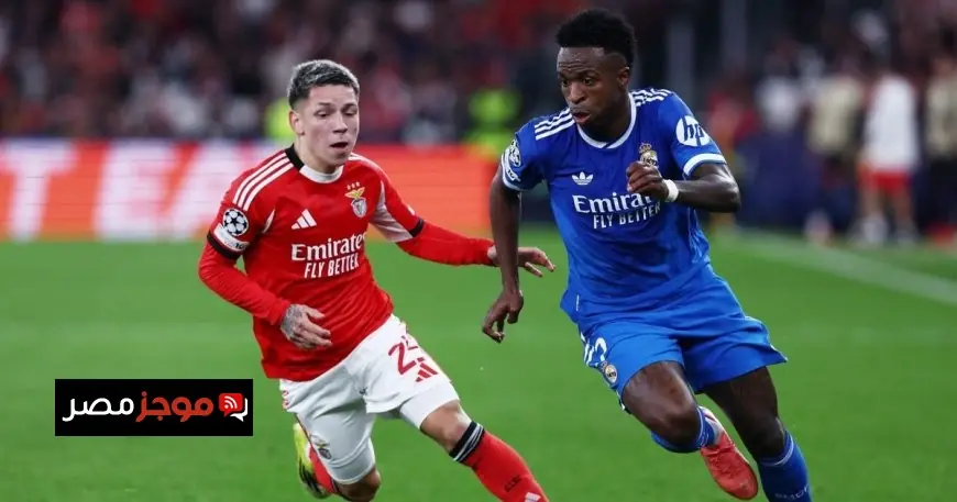 إجراءات جديدة لمكافحة العنصرية في كأس العالم من خلال قوانين وعقوبات صارمة