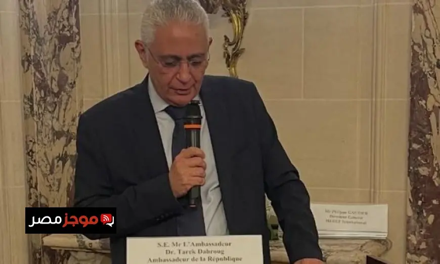 السفير طارق دحروج يؤكد استقرار مصر السياسي والأمني القوي