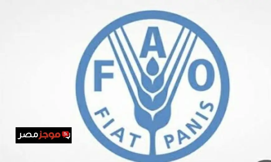 الفاو تعلن عن دعمها الكامل للدول المتضررة من النزاع الإيراني