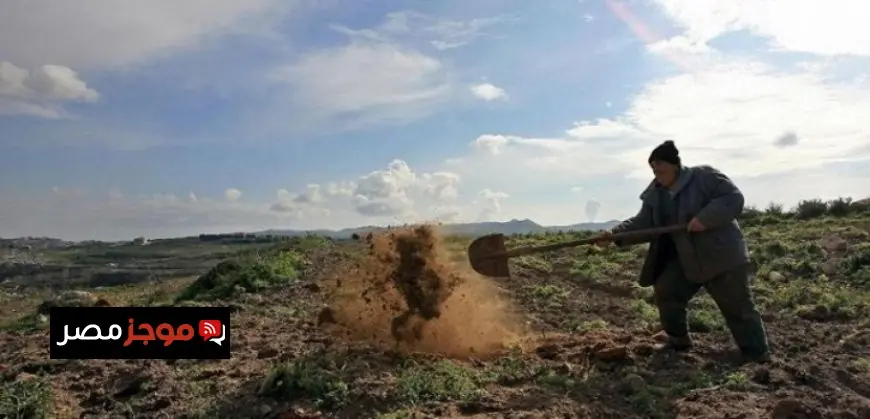 وزير الزراعة اللبناني يكشف تضرر 22.5% من الأراضي الزراعية وخسائر القطاع تصل إلى 800 مليون دولار