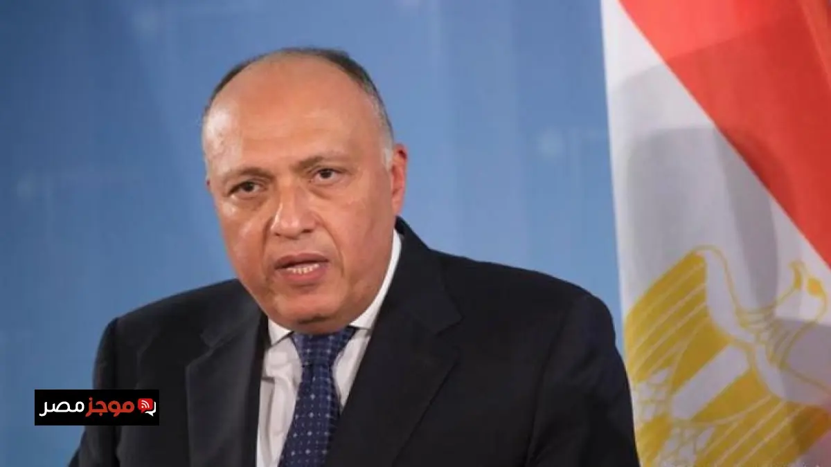 رئيس لجنة الخارجية بالبرلمان يؤكد أن زيارة ماكرون تعزز قوة العلاقات المصرية الفرنسية