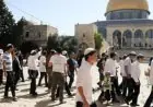 مستوطنون إسرائيليون يقتربون من اقتحام المسجد الأقصى في تصعيد جديد