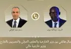 وزير الخارجية المصري يعبر عن دعم مصر لمالي ويجدد رفضه للهجمات الإرهابية