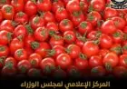 إعلامي الوزراء يكشف حقيقة رش الطماطم بمادة الإثيريل لتسريع نضجها