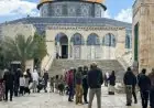 القدس تحذر من تصاعد دعوات الاحتلال لاقتحام المسجد الأقصى في منتصف مايو