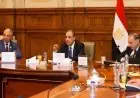 وزير الخارجية يعقد اجتماعاً مع لجنة العلاقات الخارجية والعربية والأفريقية في مجلس الشيوخ