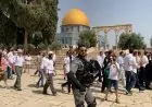 مستوطنون يقتحمون المسجد الأقصى تحت حراسة قوات الاحتلال الإسرائيلي