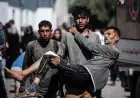 ارتفاع حصيلة شهداء عدوان الاحتلال الإسرائيلي على غزة إلى 72619 شهيدا