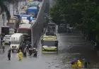 مصرع وإصابة 7 أفراد بسبب الأمطار الغزيرة في الهند انتشار التغير المناخي وتأثيره