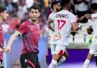 قبل مواجهة الزمالك واتحاد العاصمة تعرف على إنجازات الأندية المصرية في النهائيات الإفريقية ضد الفرق الجزائرية