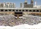 مايا مرسي تعلن بدء أول أفواج حجاج الجمعيات الأهلية إلى المدينة المنورة غدا