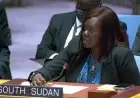 جنوب السودان تعزز التزامها باتفاق 2011 وقرارات مجلس الأمن حول منطقة أبيي