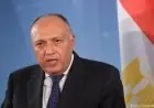 رئيس لجنة الخارجية بالبرلمان يؤكد أن زيارة ماكرون تعزز قوة العلاقات المصرية الفرنسية
