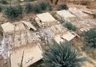 الأمم المتحدة تصف نبش إسرائيل لقبر في جنين بأنه عمل مروع ومستهجن