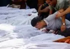 حصيلة عدوان الاحتلال الإسرائيلي على غزة تتجاوز 72737 شهيدا و172539 جريحا