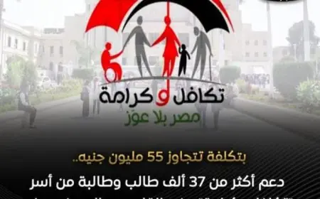 التضامن تكشف عن دعم شامل لـ37321 طالب وطالبة في 13 جامعة حكومية