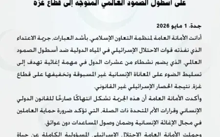 التعاون الإسلامي تُدين اعتداء الاحتلال على أسطول الصمود الدولي المتجه إلى غزة
