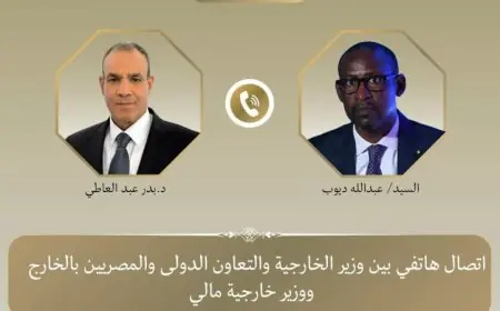 وزير الخارجية المصري يعبر عن دعم مصر لمالي ويجدد رفضه للهجمات الإرهابية