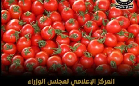 إعلامي الوزراء يكشف حقيقة رش الطماطم بمادة الإثيريل لتسريع نضجها