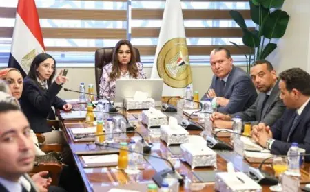 وزيرة التنمية المحلية تتعاون مع محافظ البحيرة لتعزيز تطوير مدينة رشيد