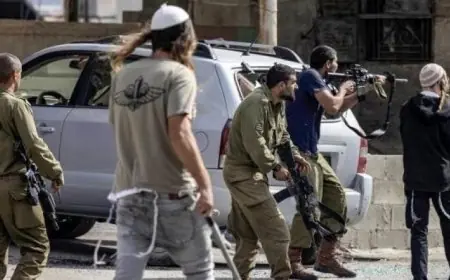 هجوم المستوطنين على جالود جنوب نابلس وجبل جالس يسفر عن إصابة 7 فلسطينيين