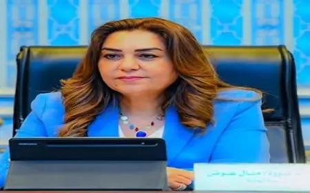 وزيرة التنمية المحلية تستعرض نتائج المرور الميداني للجنة المشتركة في 5 أحياء بالإسكندرية
