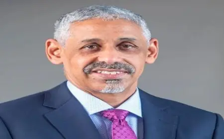 رئيس بنك التنمية الإفريقي يشيد بالإصلاحات الاقتصادية في مصر