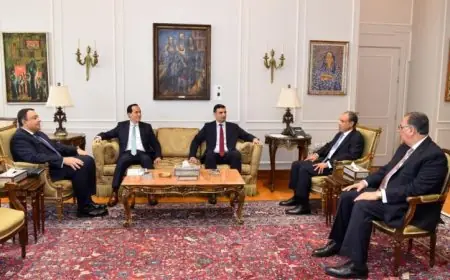 عبد العاطي يستعرض مع وزير الصناعة ورئيس هيئة الاستثمار استراتيجيات تعزيز القطاع الصناعي